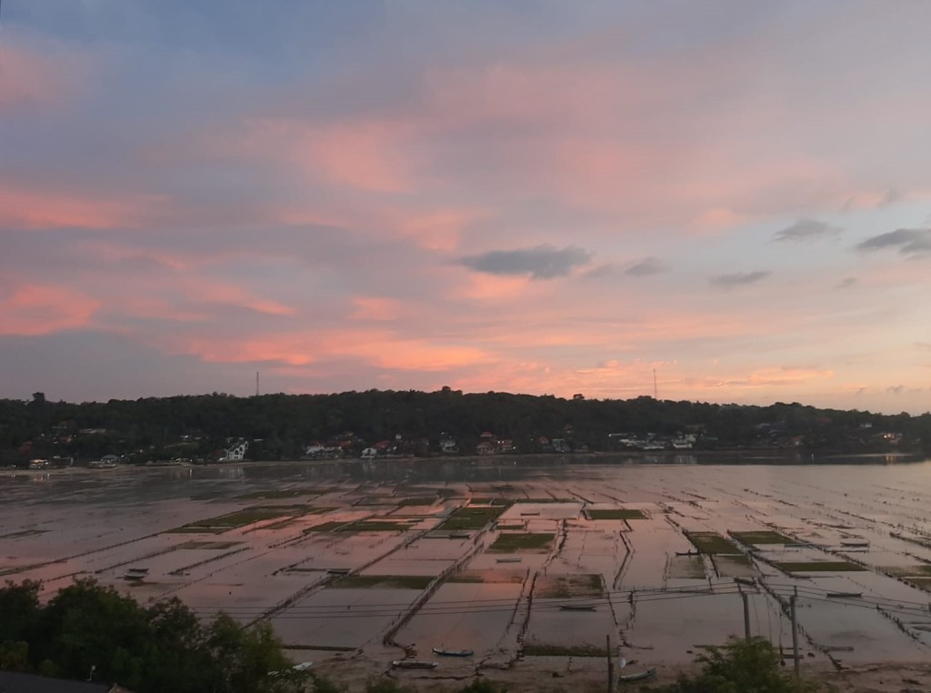 Sunset over seaweed farms