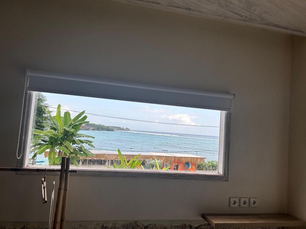 Exterior view from window in family room 2 second room