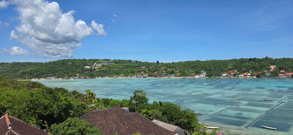 Wide shot of seaweed farms